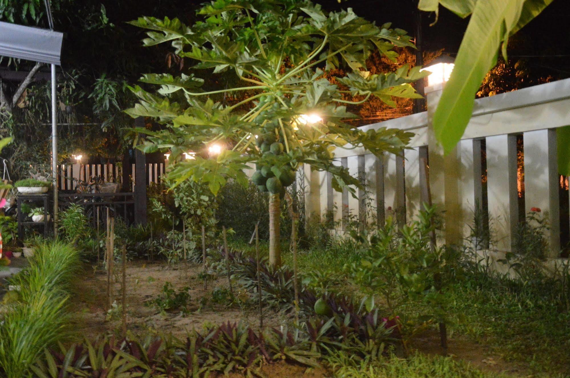 Hoian Joy Homestay Hoi An Exterior photo
